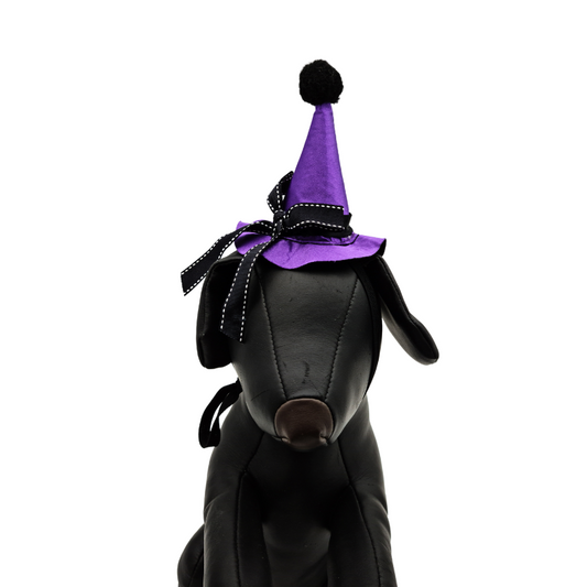 Καπέλο σκύλου Purple Witch