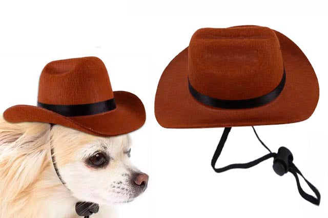 Καπέλο σκύλου-γάτας COWBOY HAT
