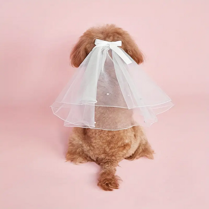 Κοκκαλάκι μαλλιών σκύλου Wedding Veil