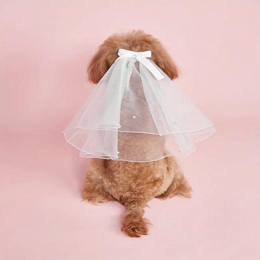 Κοκκαλάκι μαλλιών σκύλου Wedding Veil