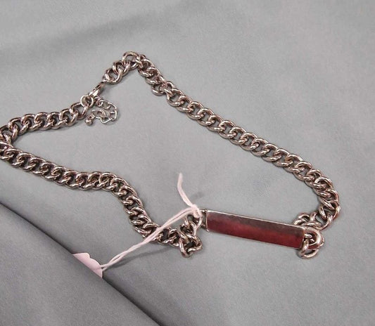 Κολιέ σκύλου BIG SILVER CHAIN
