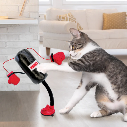 Διαδραστικό Παιχνίδι Γάτας KONG CONNECTS Punching Bag