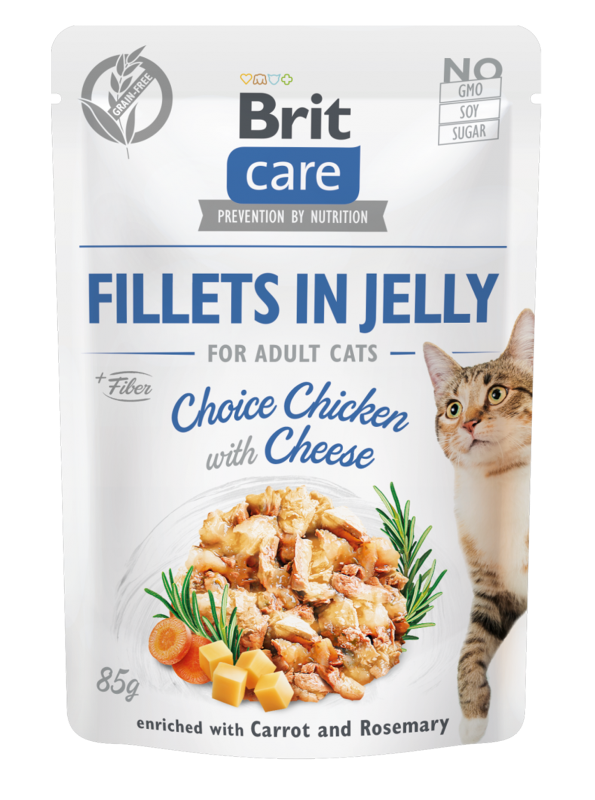 Κονσέρβα για γάτες BRIT CARE FILLETS IN JELLY  (85gr)