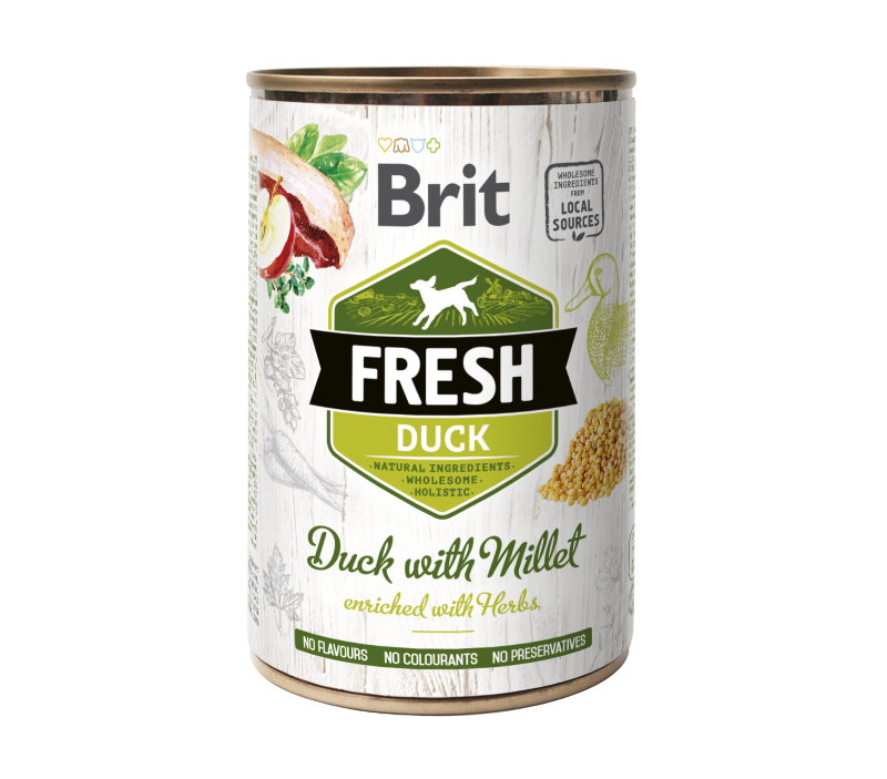 Κονσέρβα σκύλου Brit Fresh (400g)