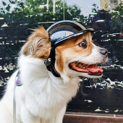 Κράνος σκύλου RIDER