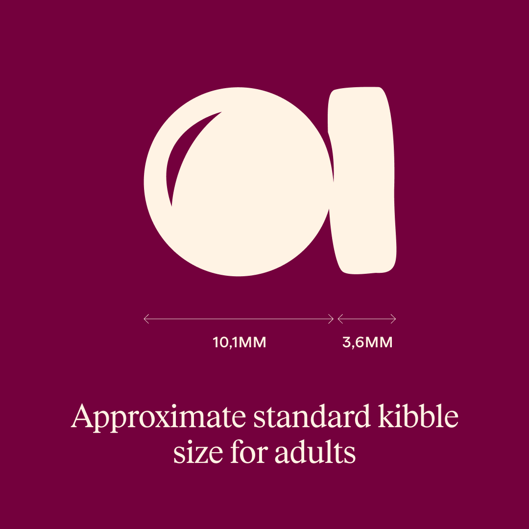 Ξηρά τροφή γάτας Carnilove® Active Sterilised Αρνί-Αγριόχοιρος Sterilised GRAINFREE & POTATOFREE