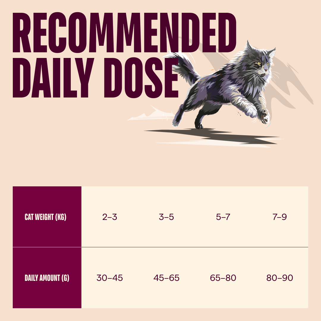 Ξηρά τροφή γάτας Carnilove® Active Sterilised Βοδινό-Ελάφι Sterilised GRAINFREE & POTATOFREE