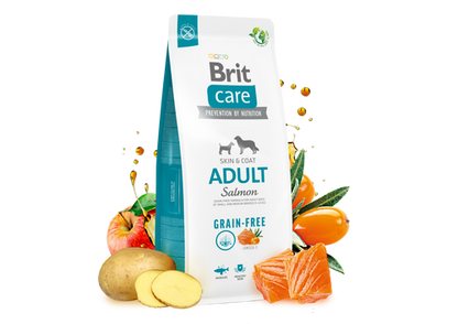 Ξηρά τροφή σκύλου Brit Care Adult Grain Free Σολομός