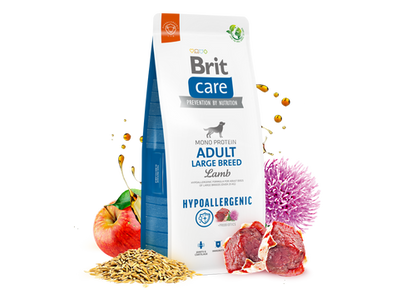 Ξηρά τροφή σκύλου Brit Care Hypoallergenic® Adult Dog Large Αρνί