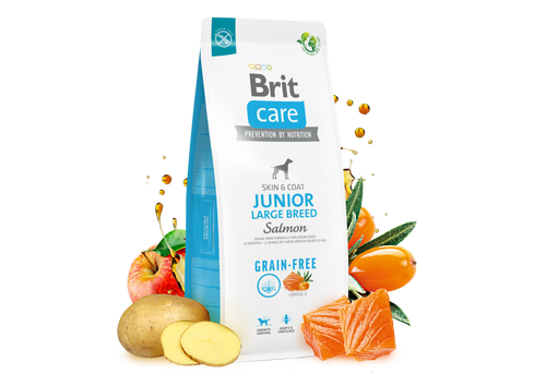 Ξηρά τροφή σκύλου Brit Care GRAINFREE Junior Large Σολομός