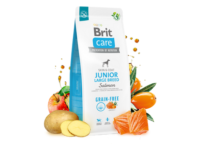 Ξηρά τροφή σκύλου Brit Care GRAINFREE Junior Large Σολομός