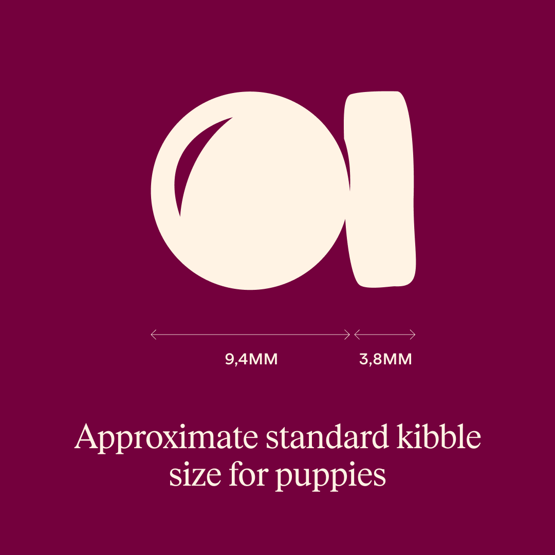 Ξηρά τροφή σκύλου Carnilove® True Fresh Puppy Πάπια Grainfree & Potatofree