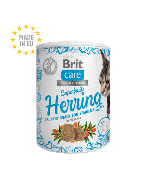 Λιχουδιά γάτας Brit Care (100gr)