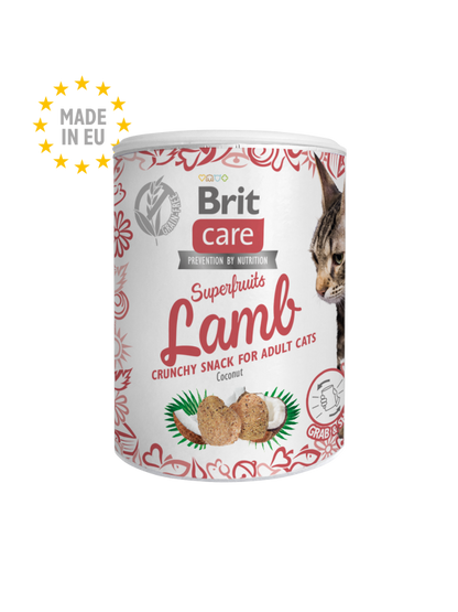 Λιχουδιά γάτας Brit Care (100gr)