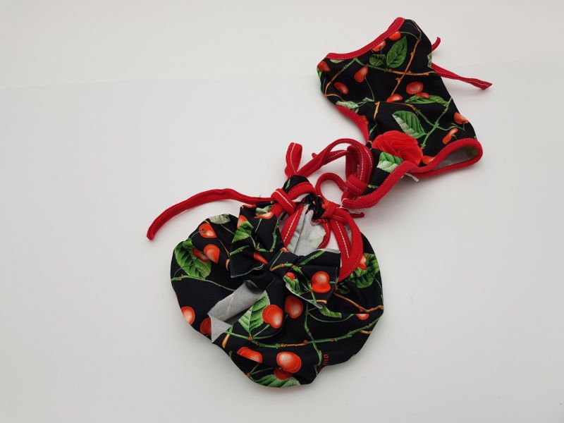 Μαγιό σκύλου Bikini