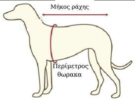Ρούχο σκύλου αδιάβροχο SAFE CALVI