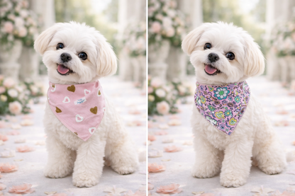 Μπαντάνα σκύλου ROMANCE