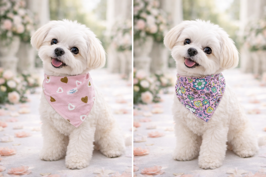 Μπαντάνα σκύλου ROMANCE