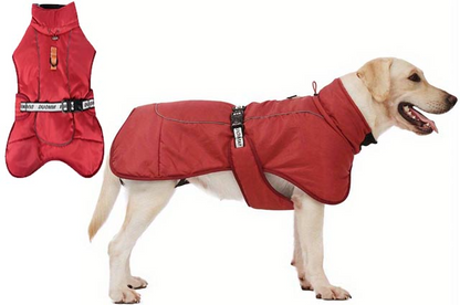 Ρούχο σκύλου μπουφάν READY ACTION