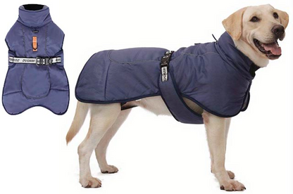 Ρούχο σκύλου μπουφάν READY ACTION