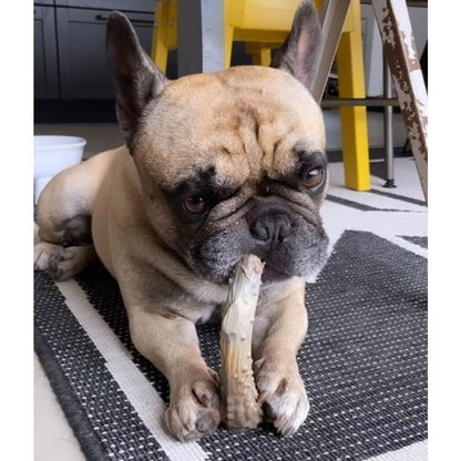 Παιχνίδι σκύλου Nylabone ANTLER ALTERNATIVE (L)