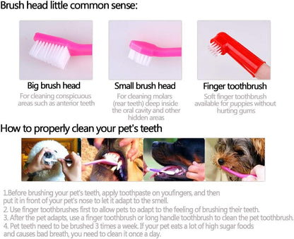 Οδοντόβουρτσα σκύλου-γάτας σετ τριών τεμαχίων ΑSTAR