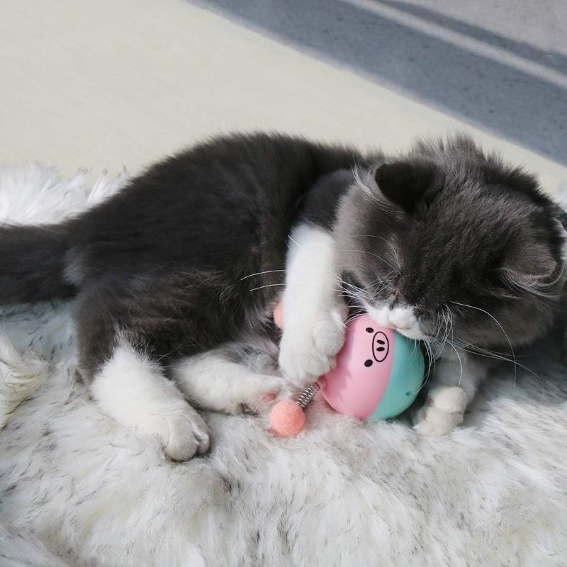 Παιχνίδι γάτας Crazy Tumbler