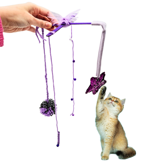 Παιχνίδι γάτας Purple Joy