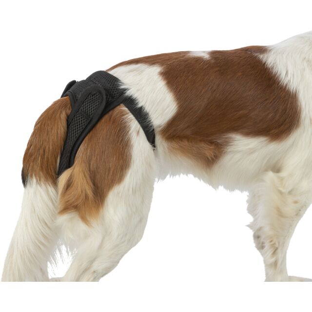 Πάνες σκύλου φορετές πολλαπλών χρήσεων Trixie Comfort