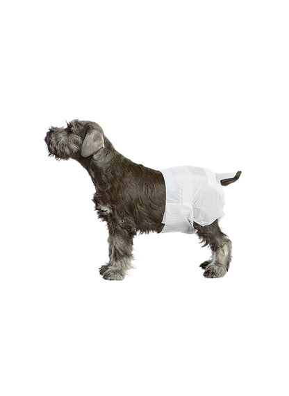 Πάνα-βρακάκι για κατoικίδια Pawise