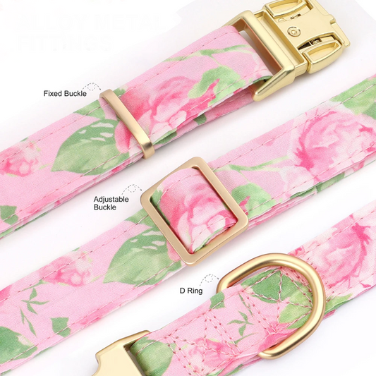 Περιλαίμιο σκύλου Blooming