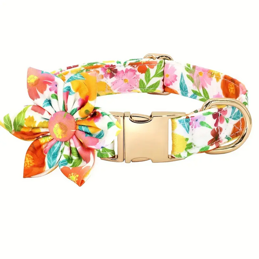 Περιλαίμιο σκύλου Floral Glow