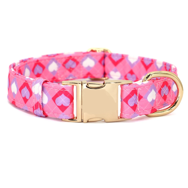 Περιλαίμιο σκύλου Pink Shapes