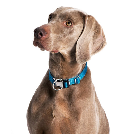Περιλαίμιο σκύλου Μπλε Nobby Classic Preno Royal (M-L)