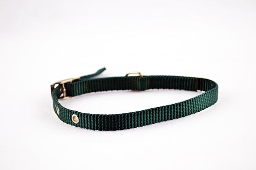 Περιλαίμιο σκύλου Πράσινο Σκούρο