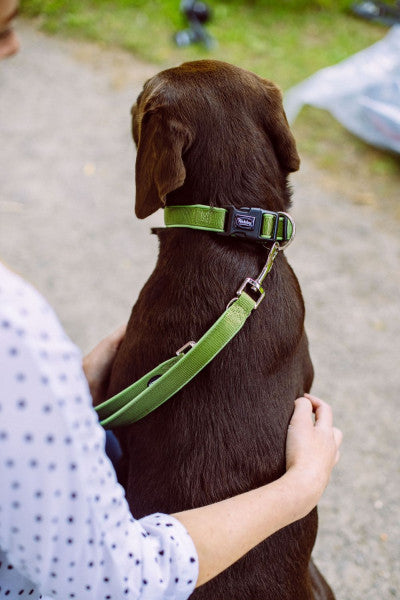 Περιλαίμιο σκύλου Nobby Classic Preno (M-L)