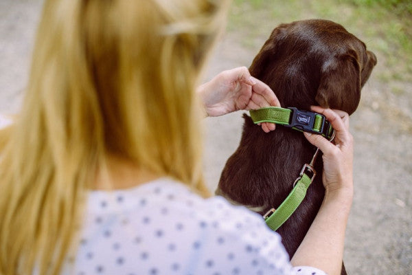 Περιλαίμιο σκύλου Nobby Classic Preno (M-L)