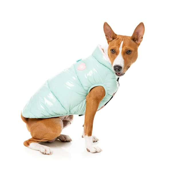 Ρούχο σκύλου αδιάβροχο Amor Puffer Jacket