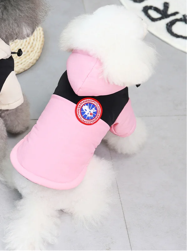 Ρούχο σκύλου αδιάβροχο DADA