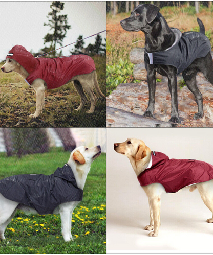 Ρούχο σκύλου αδιάβροχο μπουφάν Paw Fashion