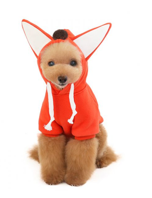 Ρούχο σκύλου φούτερ Fox