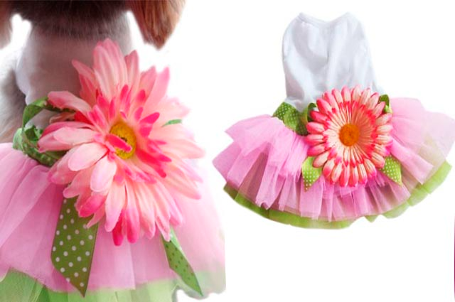 Ρούχο σκύλου-γάτας φόρεμα Beautiful Daisy