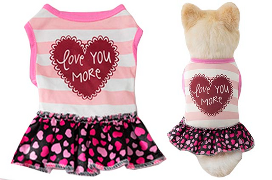 Ρούχο σκύλου-γάτας φόρεμα Love You More