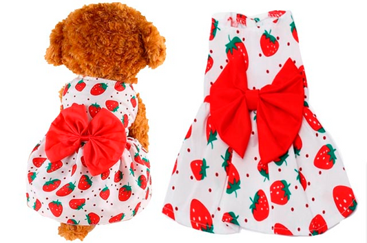 Ρούχο σκύλου-γάτας φόρεμα Lovely Strawberries