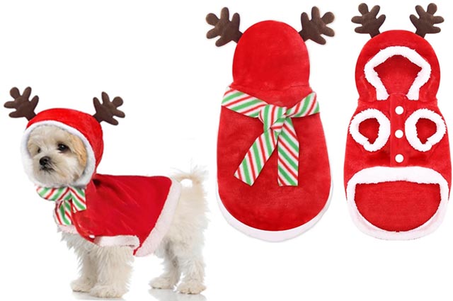 Ρούχο σκύλου-γάτας ΧΡΙΣΤΟΥΓΕΝΝΙΑΤΙΚΟ Lovely XMas
