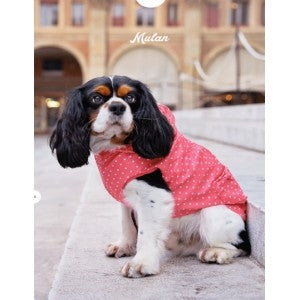 Ρούχο σκύλου αδιάβροχο MULLAN