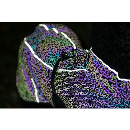 Ρούχο σκύλου αδιάβροχο Trixie Limoux Reflect