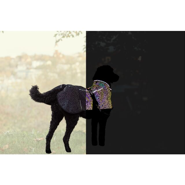 Ρούχο σκύλου αδιάβροχο Trixie Limoux Reflect