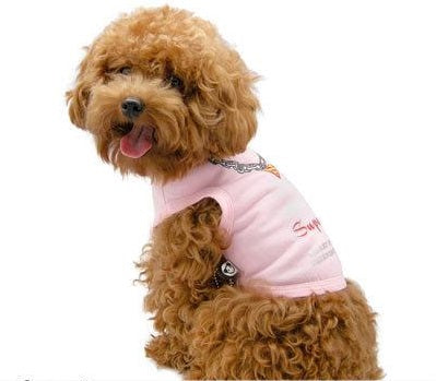 Ρούχο σκύλου SUPER DOG (πολλά χρώματα)