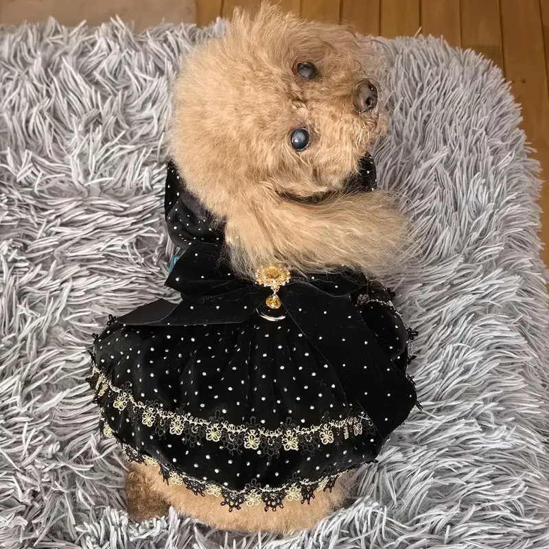 Ρούχο σκύλου φόρεμα Velvet Beauty